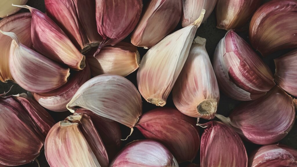 Garlic-16-9